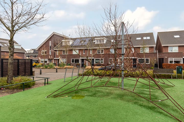 Foto 53 van Bruinvis 16