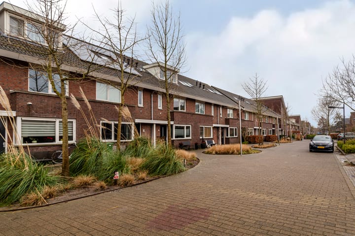 Foto 55 van Bruinvis 16