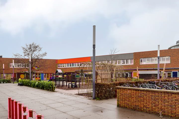 Foto 56 van Bruinvis 16