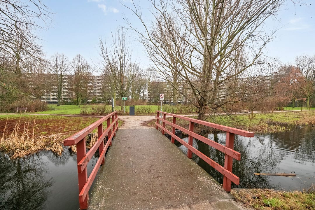 Foto 61 van Spieghelstraat 4