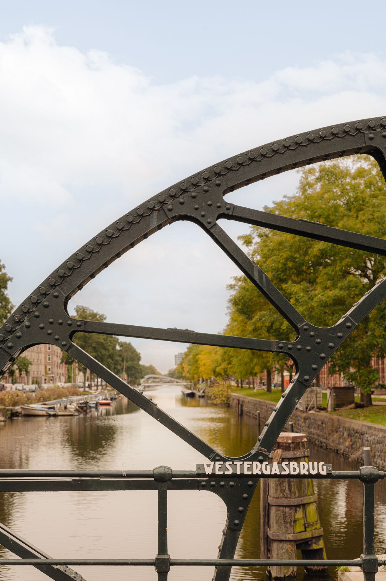 Foto 30 van Nieuwpoortstraat 86-D16