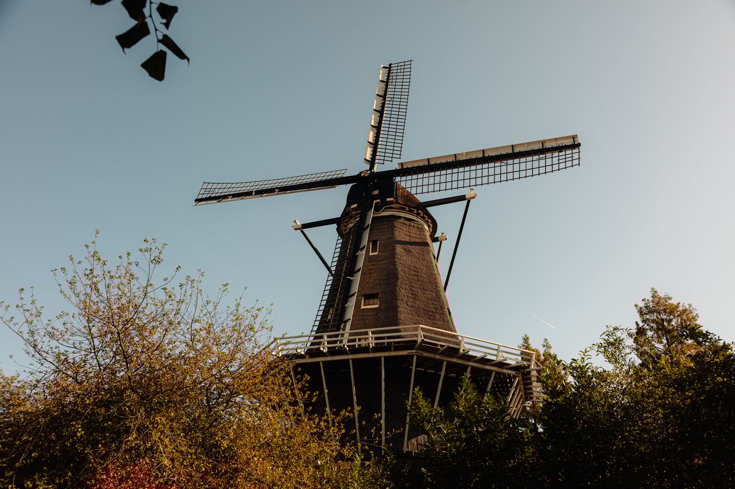 Foto 29 van Nieuwpoortstraat 86-D16