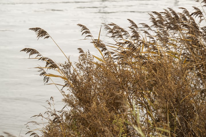 Foto 38 van Eef Kamerbeekstraat 350