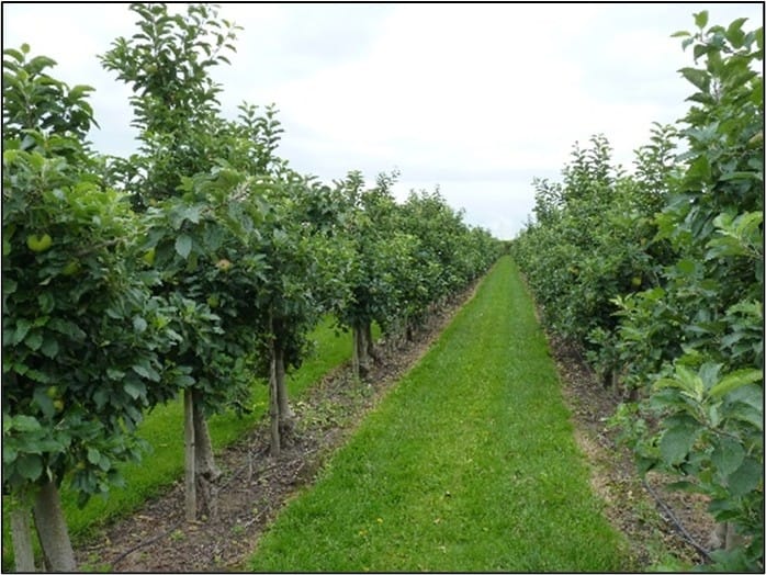 Bekijk foto 1 van Roodbeenweg 5