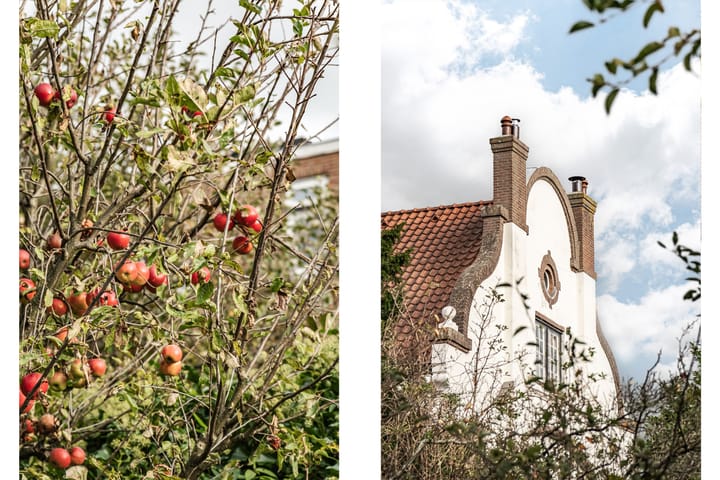 Foto 43 van Oranjeplein 1