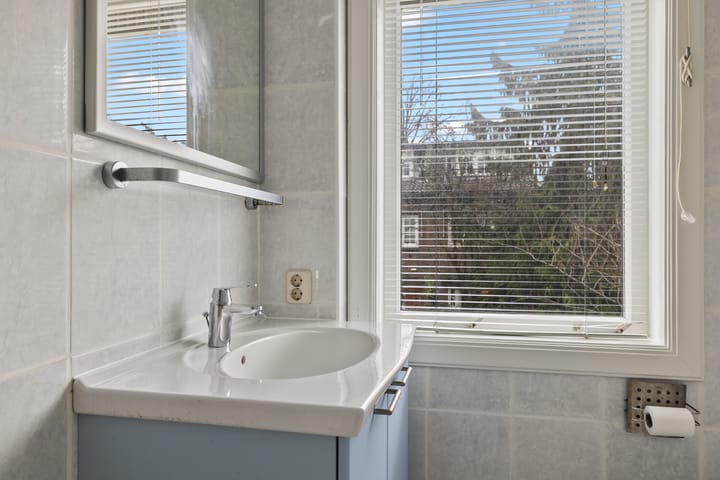 Foto 38 van Prof. Ritzema Boslaan 111