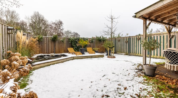 Photo 2 of Andromeda 55