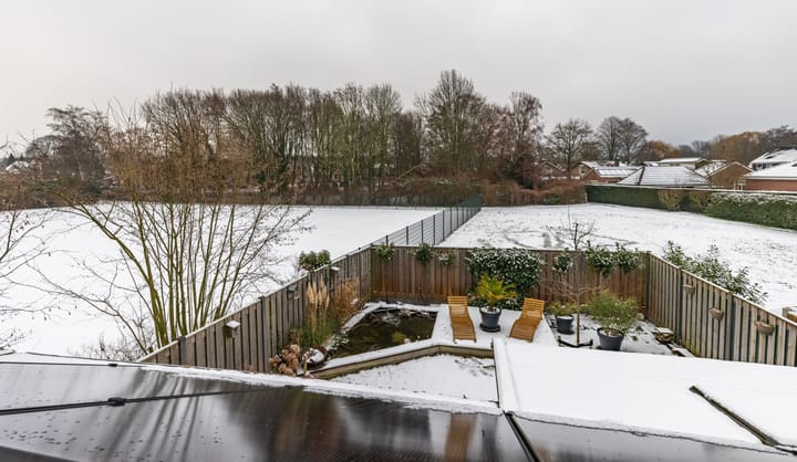 Photo 4 of Andromeda 55