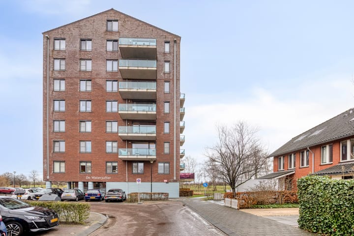 Koegelwieckplantsoen 53