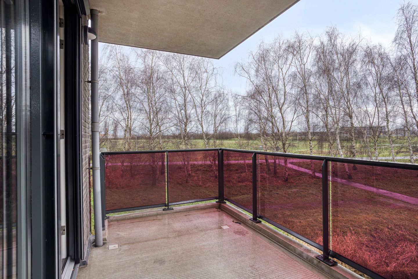 Foto 5 van Koegelwieckplantsoen 53