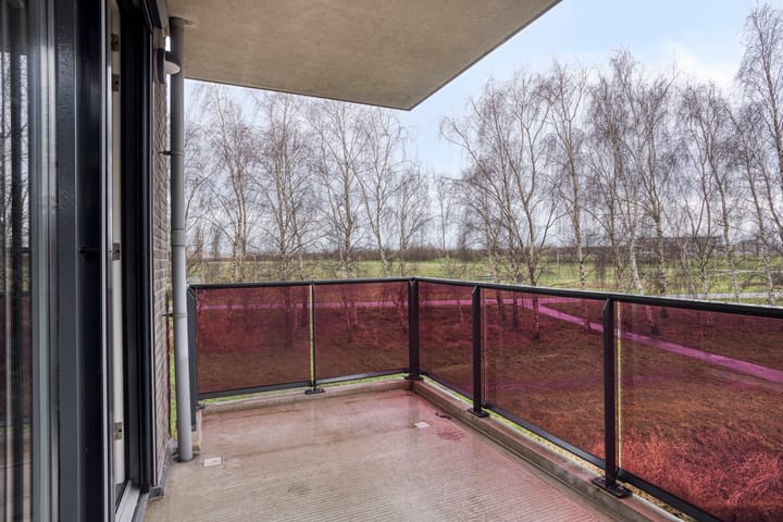 Foto 5 van Koegelwieckplantsoen 53