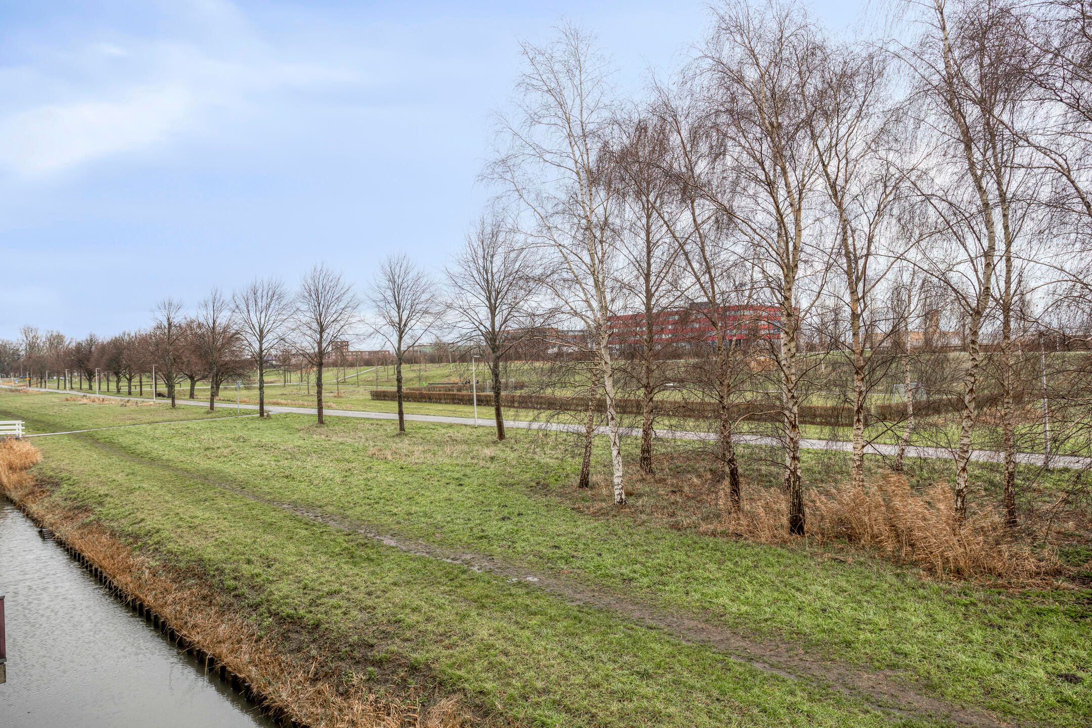 Foto 27 van Koegelwieckplantsoen 53