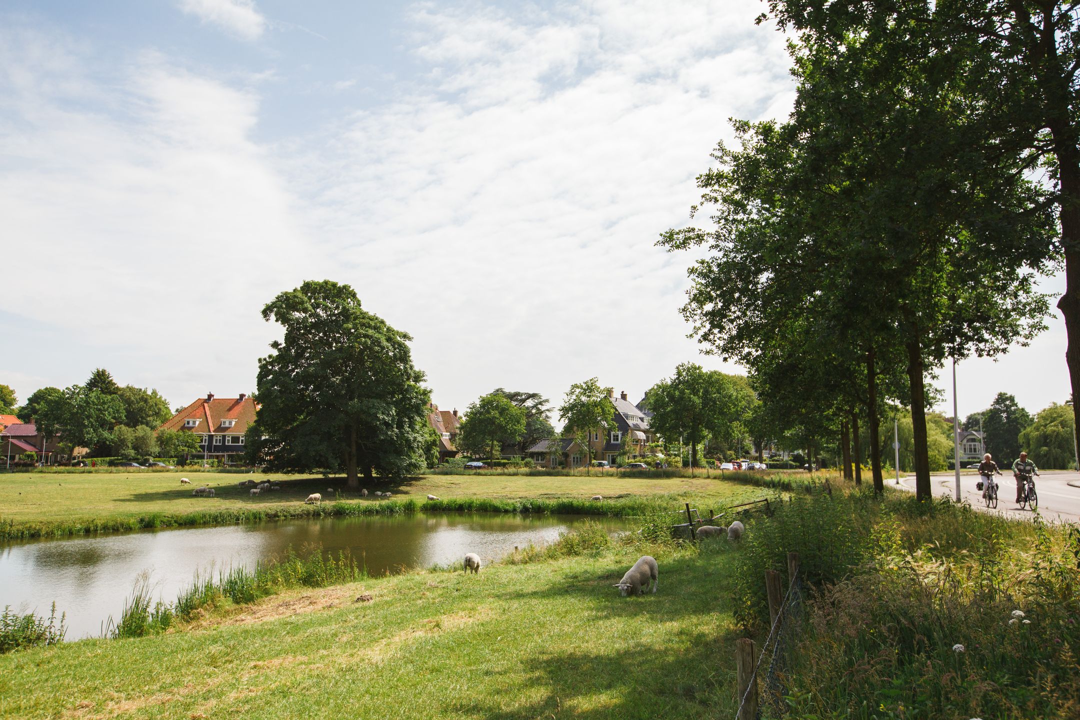 Foto 36 van Midden Duin en Daalseweg 12