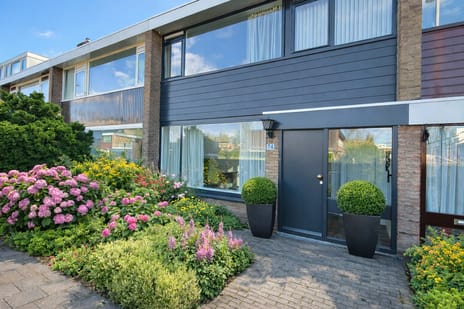 undefined main image