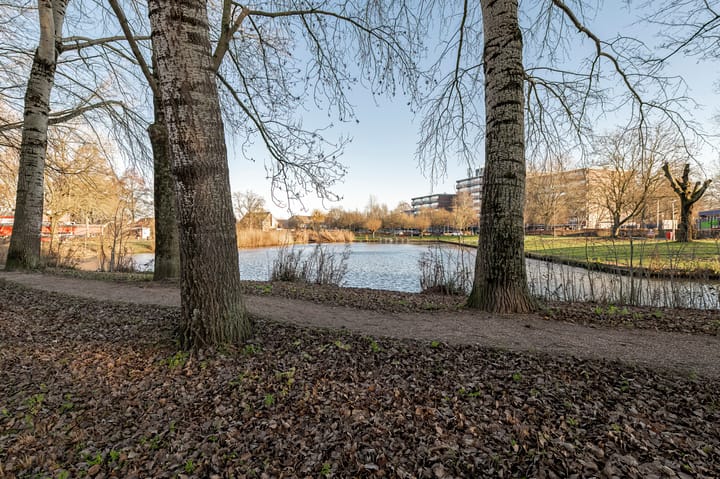 Foto 28 van Parklaan 157