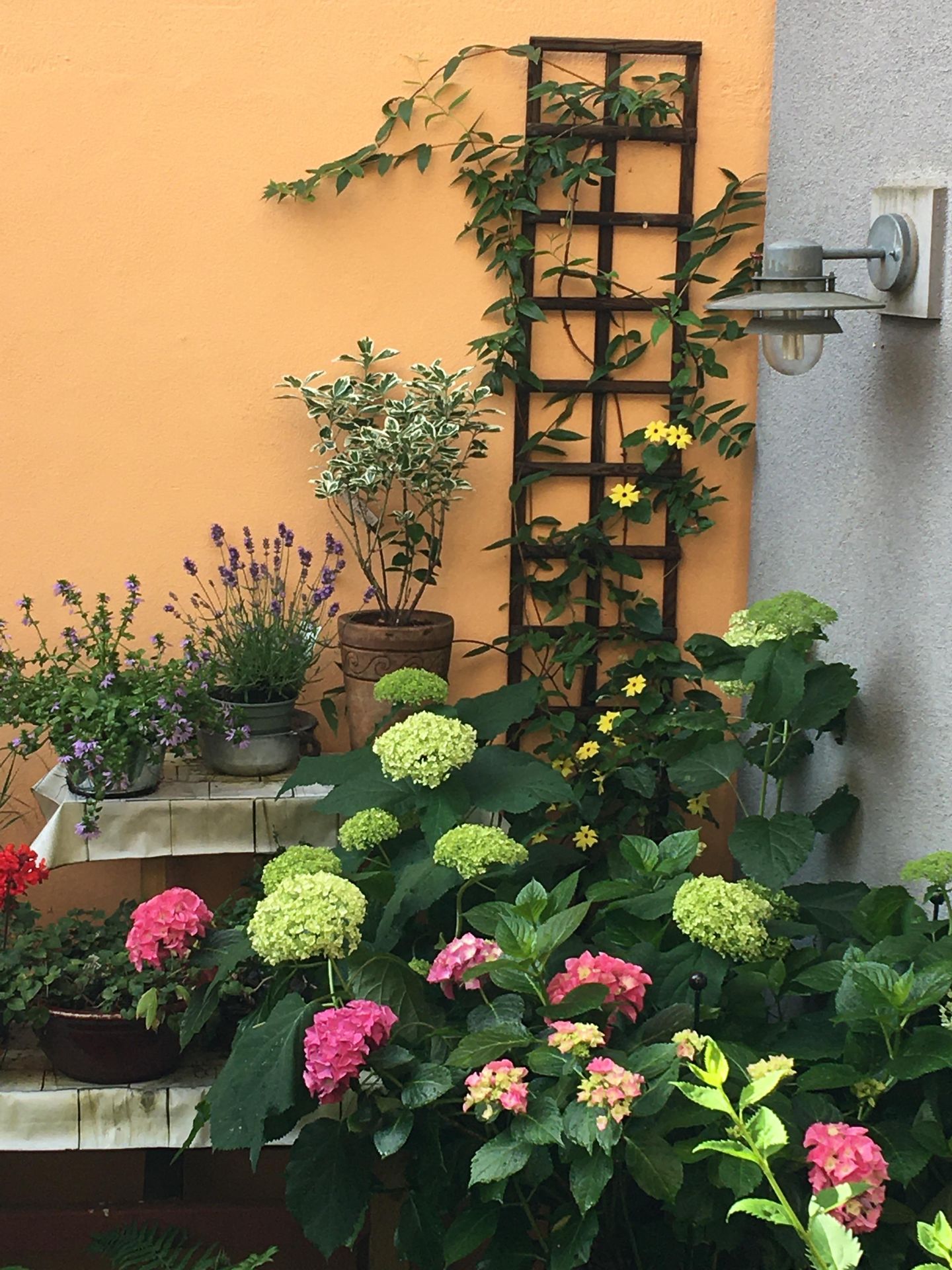 Foto 44 van St. Antonielaan 165