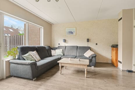 Kraagbeer 9 secondary image