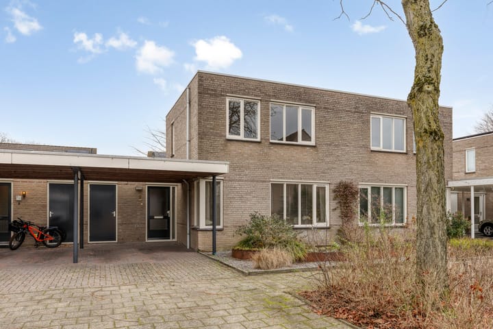 Foto 1 van Plevier 8