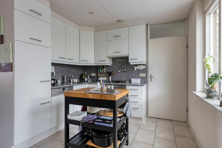 Foto 6 van Plevier 8