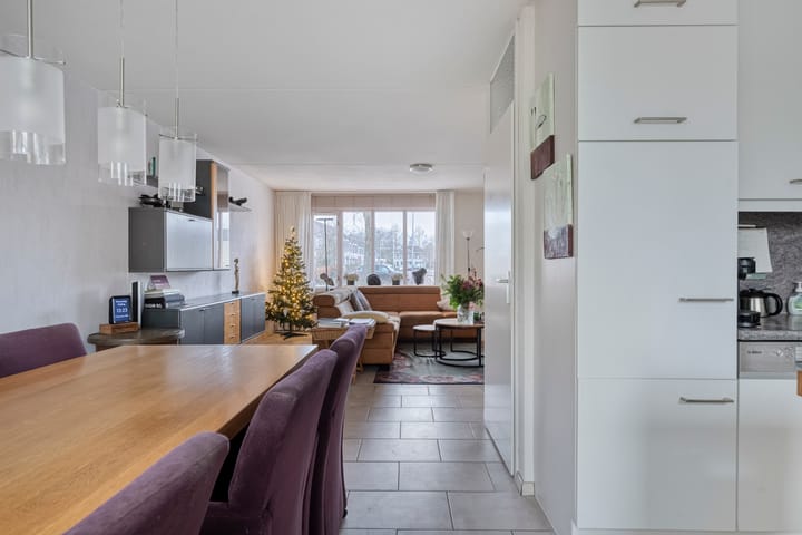 Foto 7 van Plevier 8