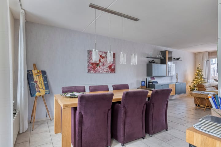 Foto 8 van Plevier 8