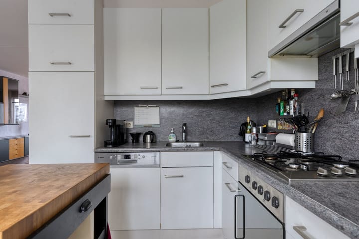 Foto 9 van Plevier 8