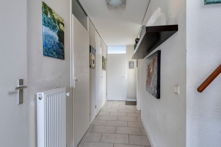 Foto 10 van Plevier 8