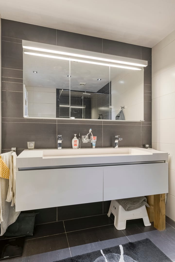 Foto 16 van Plevier 8