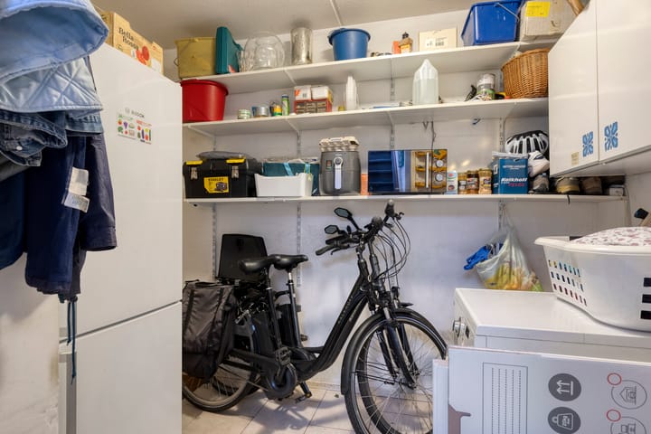 Foto 17 van Plevier 8