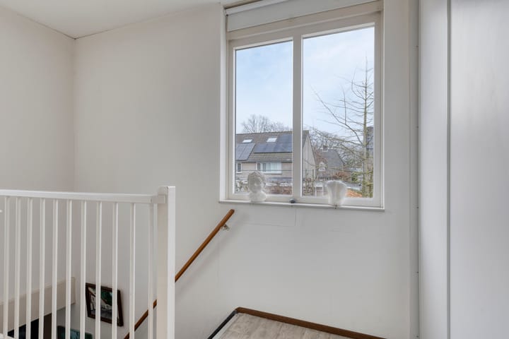 Foto 18 van Plevier 8