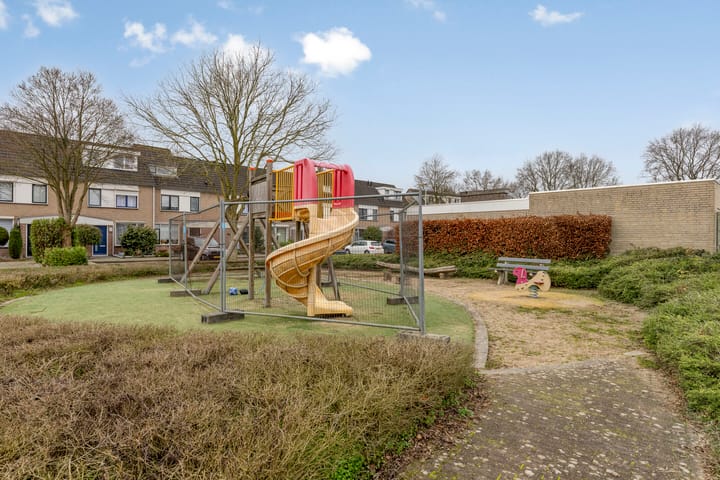 Foto 32 van Plevier 8