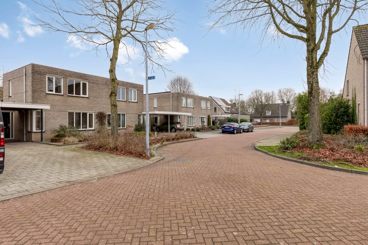 Foto 35 van Plevier 8