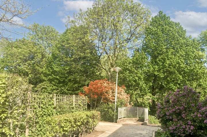 Foto 37 van Henk Oomspad 14