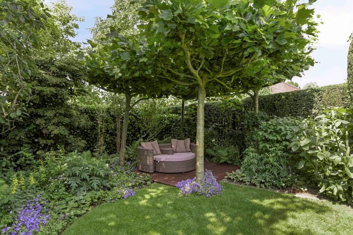 Foto 48 van Kerkstraat 8