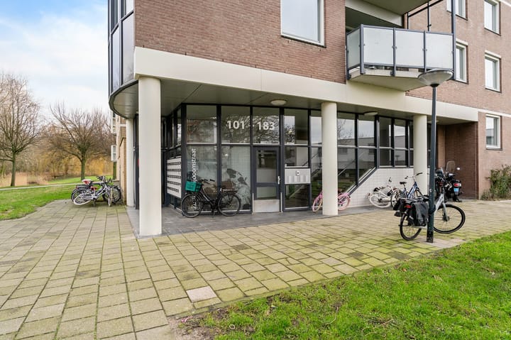 Photo 6 of Zuster Meijboomstraat 115