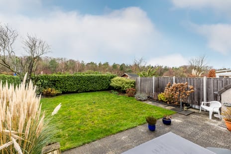 Vlierbessenstraat 8 tertiary image