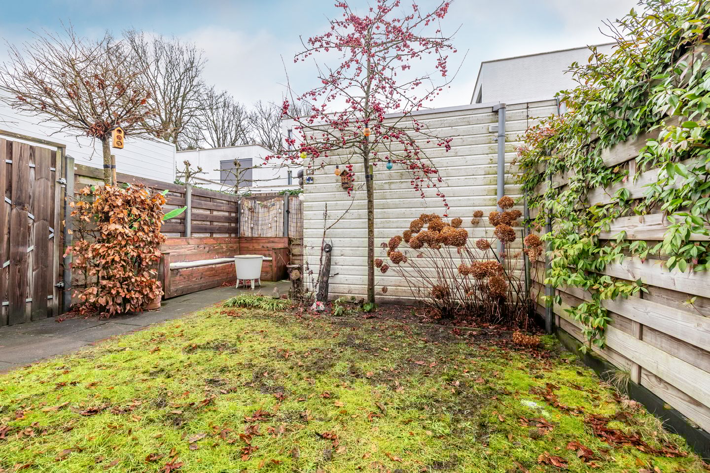 Foto 25 van Bosanemoonstraat 7