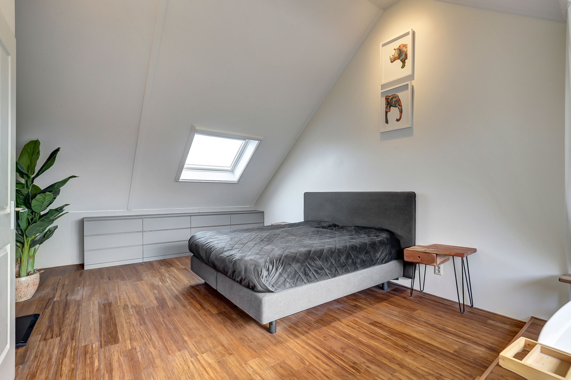 Foto 27 van Fonteinkruid 26