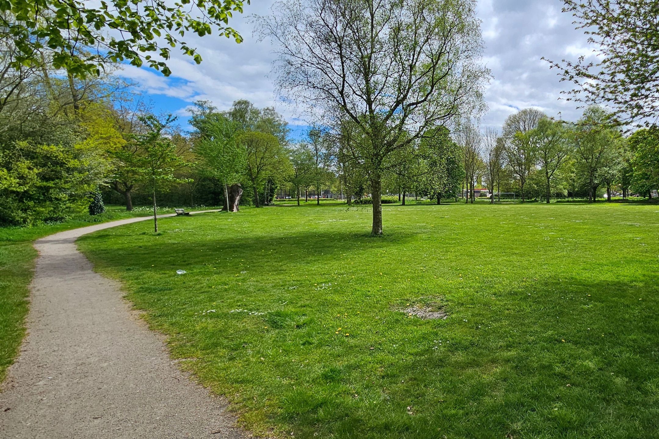 Foto 27 van Beukenstraat 138