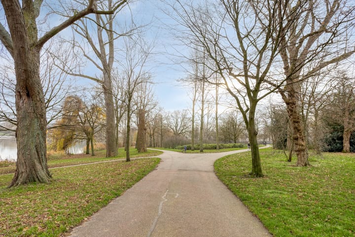 Foto 13 van Moliusstraat 13