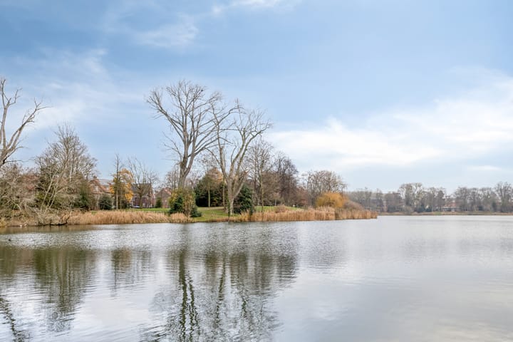 Foto 14 van Moliusstraat 13