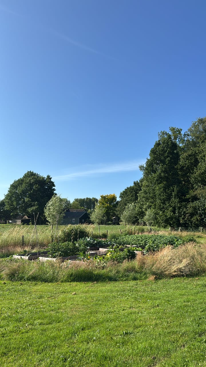 Foto 69 van Broeklanderweg 73