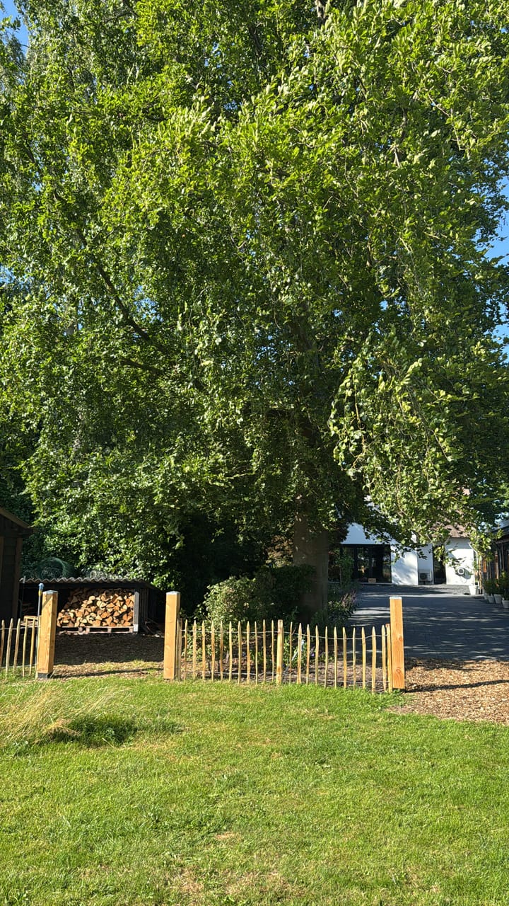 Foto 70 van Broeklanderweg 73