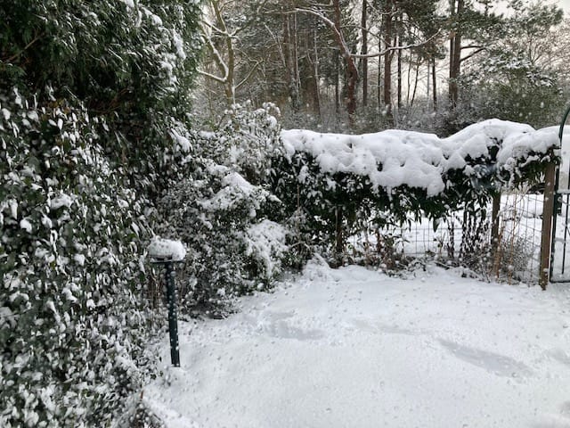 Foto 22 van dr. Abraham Kuyperlaan 4