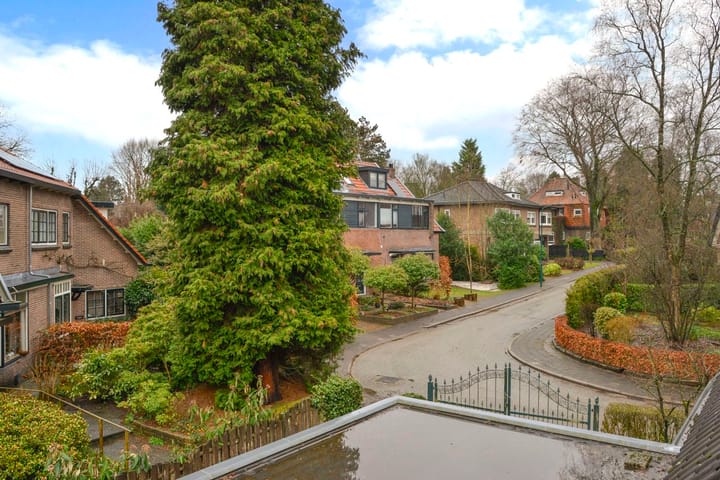 Foto 21 van Sophialaan 3