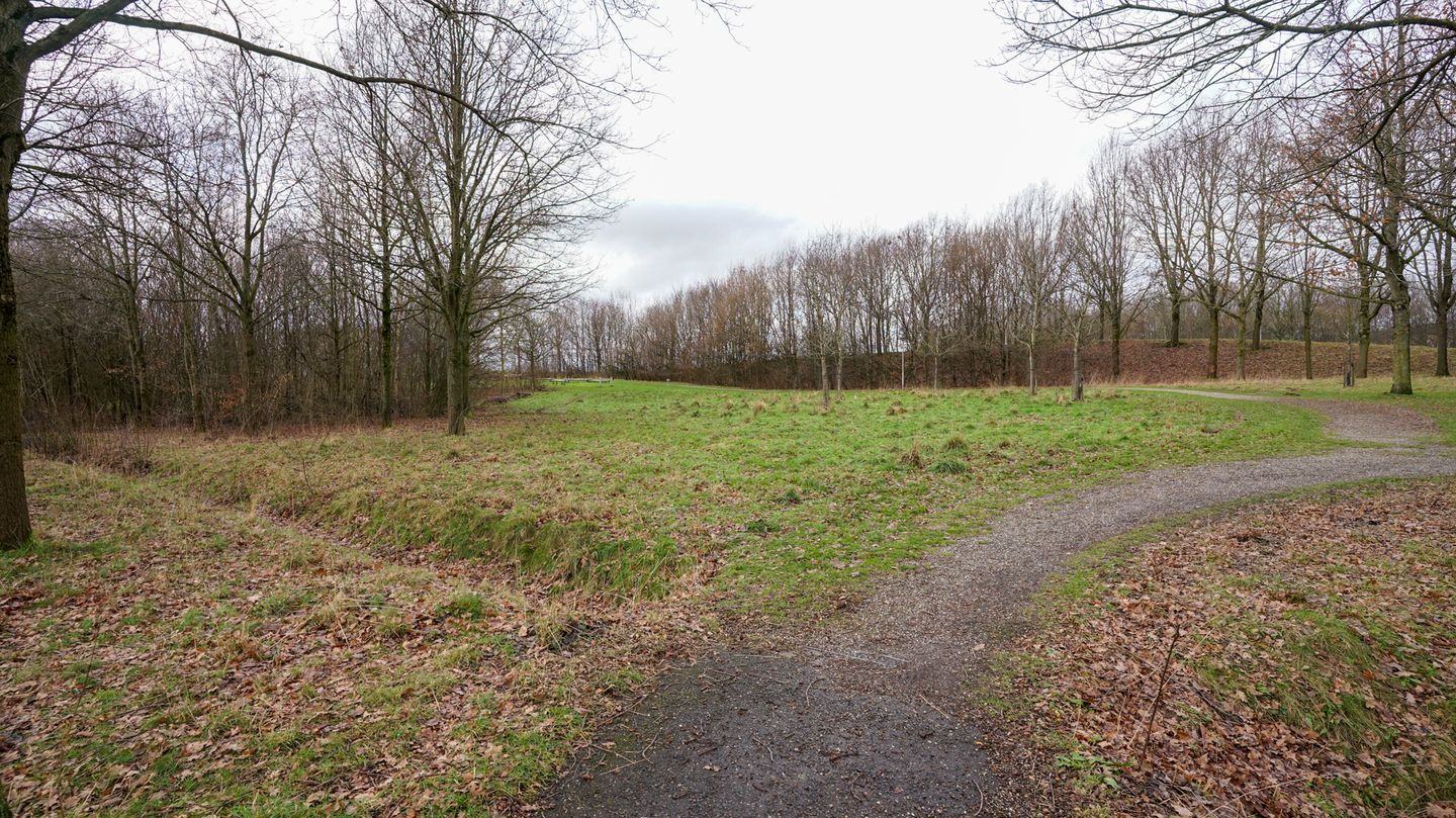 Photo 55 of Hazelaar 6