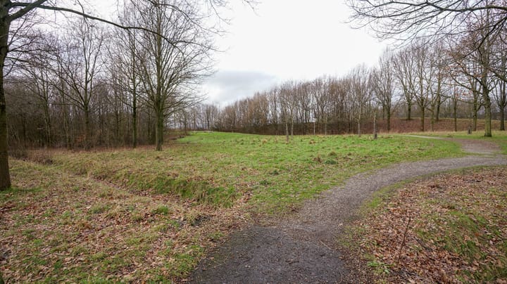 Foto 55 van Hazelaar 6