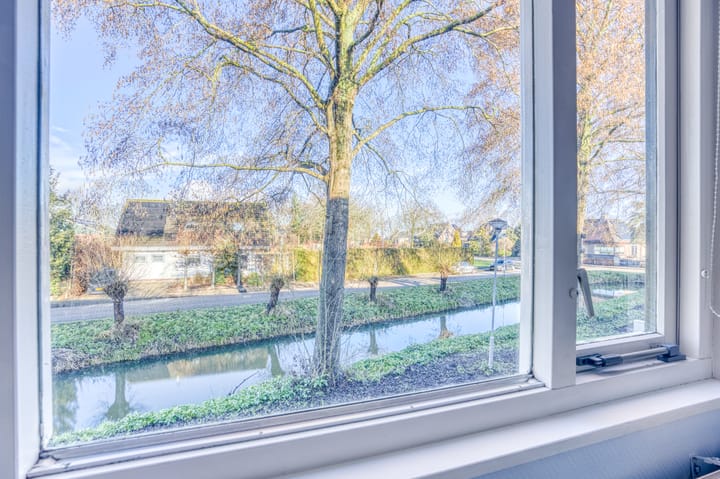 Foto 3 van Zanglijster 20