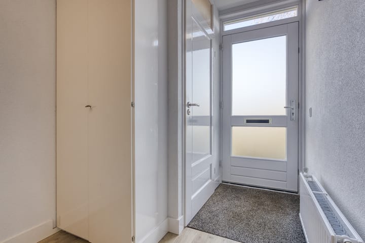 Foto 7 van Zanglijster 20