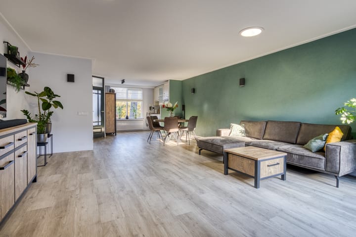 Foto 2 van Zanglijster 20